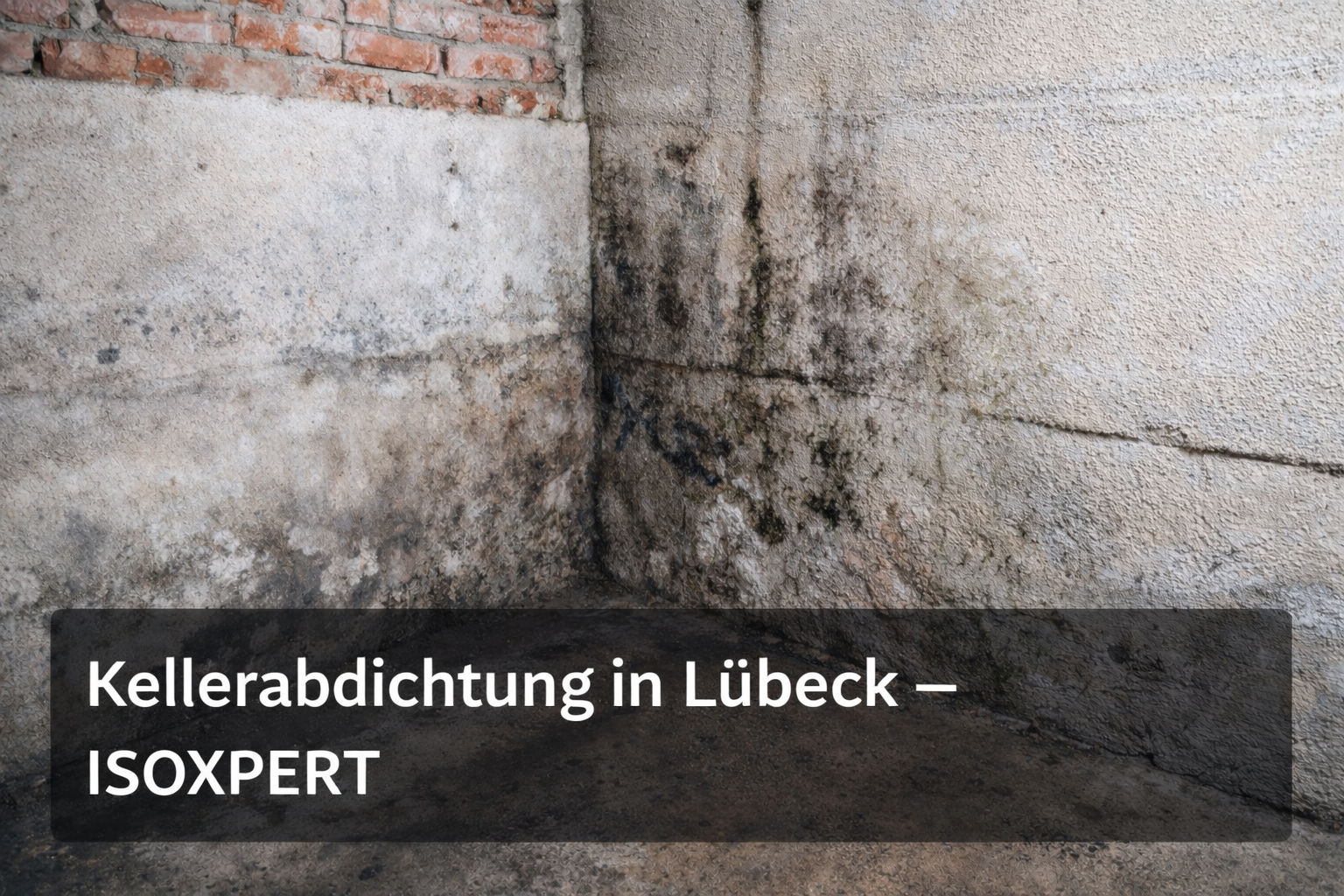 Kellerabdichtung Lübeck