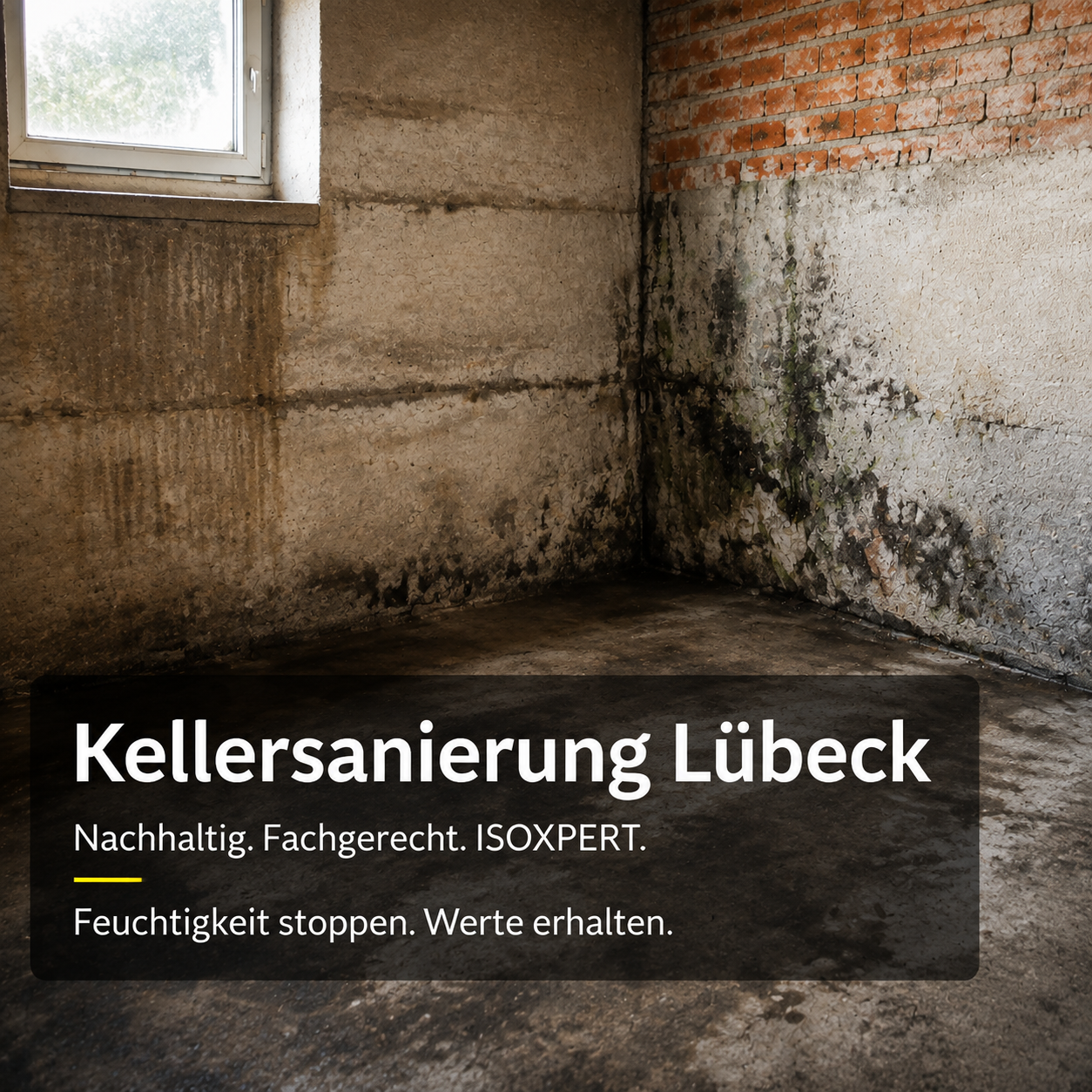 Kellersanierung Lübeck